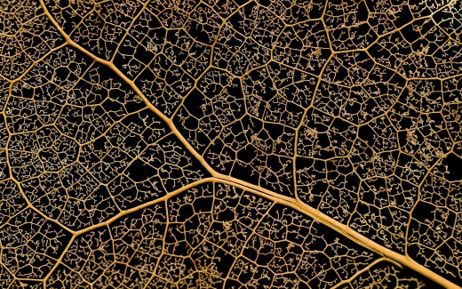 1338013 (a): :1920x1200